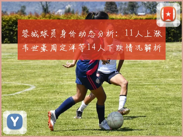 蓉城球员身价动态分析：11人上涨韦世豪周定洋等14人下跌情况解析