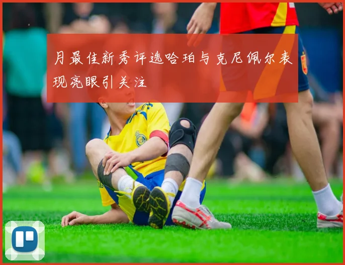 月最佳新秀评选哈珀与克尼佩尔表现亮眼引关注