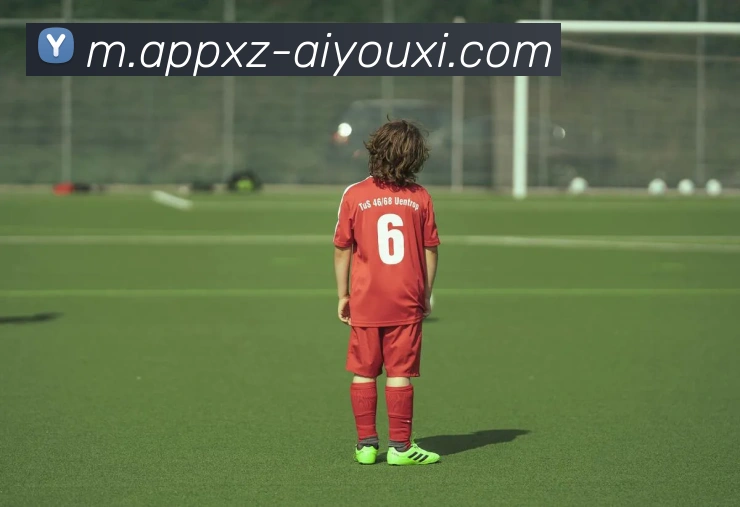 App Interface Preview